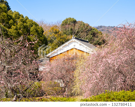 A landscape of a rural mountain with plum blossoms and an old Japanese house A landscape of a rural mountain with plum blossoms and an old Japanese house 132780411