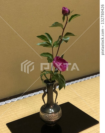 Japanese-style room with camellia 132780426