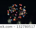 Vibrant fireworks <NARITA Fireworks Festival> 132780517