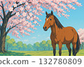 Spring scenery of a horse standing under cherry blossoms 132780809