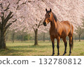 Spring scenery of a horse standing under cherry blossoms 132780812