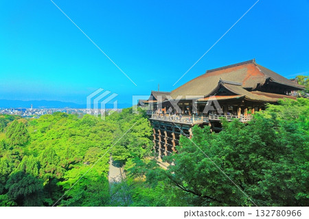 【京都府】清水寺春意盎然 132780966