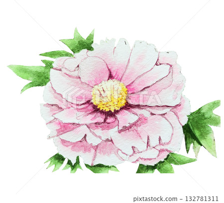 大花粉色牡丹花 2 大花粉色牡丹花 2 132781311