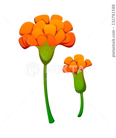Day of the Dead holiday, Dia De Los Muertos marigold flower. Day of the Dead attribute, Dia de Los Muertos celebration isolated cartoon vector object. Mexican holiday marigold flowers on green stem 132781588