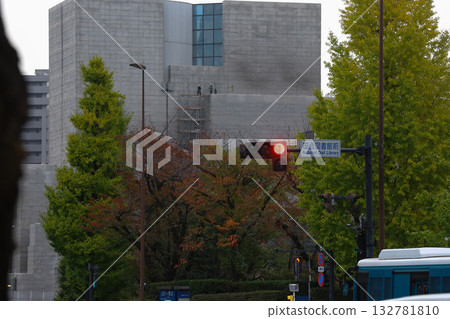 【國會大廈】銀杏樹和秋景 【國會大廈】銀杏樹和秋景 132781810