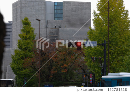 [National Diet Building] Ginkgo trees and autumn scenery 132781818