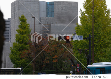 [National Diet Building] Ginkgo trees and autumn scenery 132781820