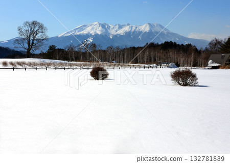 Vast snowy fields and Mount Ontake under clear skies [February] 132781889