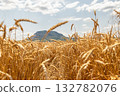 Ears of wheat ripen under the scorching sun against background of mountains 132782076