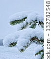 fir branch covered with snow as background Merry Christmas and Happy New Year Holidays greeting card 132782548