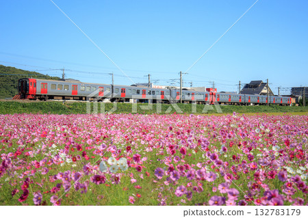 宇宙田和813系列車(JR九州) 宇宙田和813系列車(JR九州) 132783179