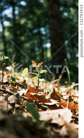 二十四節氣春景：第三部：昆蟲的甦醒（蝴蝶） 132783415