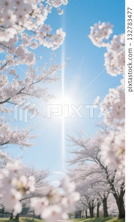 Spring Scenes of the 24 Solar Terms ④ Vernal Equinox (Sun) 132783477
