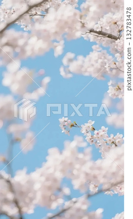 Spring Scenes of the 24 Solar Terms ④ Vernal Equinox 132783478