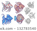 Set of ornamental aquarium fish  132783540