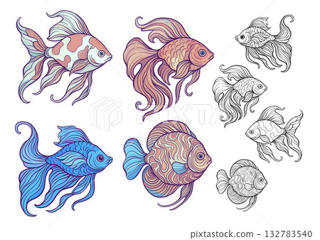 Set of ornamental aquarium fish Set of ornamental aquarium fish 132783540