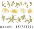 floral vector set with blooming flowers 132783541