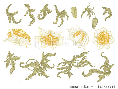 floral vector set with blooming flowers 132783541