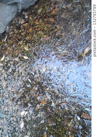 On a winter walk 132783789