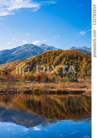 舞名池、乘鞍高原 舞名池、乘鞍高原 132783814