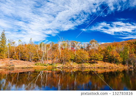 主要池塘的秋葉 主要池塘的秋葉 132783816