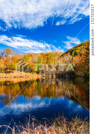 主要池塘的秋葉 主要池塘的秋葉 132783817