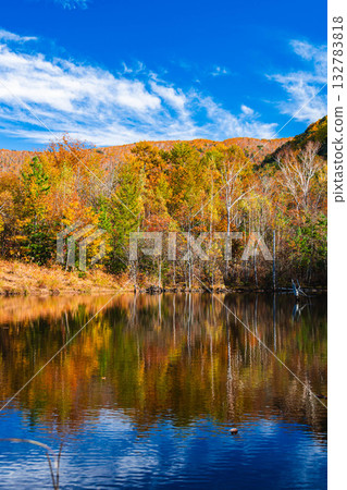 主要池塘的秋葉 主要池塘的秋葉 132783818