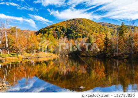 流雲與舞之池 流雲與舞之池 132783820
