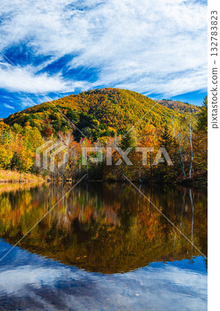 流雲與舞之池 流雲與舞之池 132783823