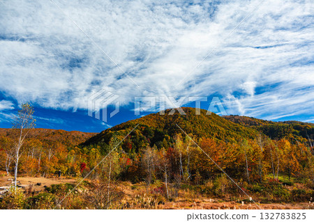 從邁梅諾伊克池塘欣賞秋葉 從邁梅諾伊克池塘欣賞秋葉 132783825