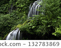 被新鮮綠色植物環繞的瀑布 132783869