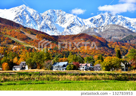 從白馬村眺望白馬三山（長野縣白馬村）[2025年11月] 132783953