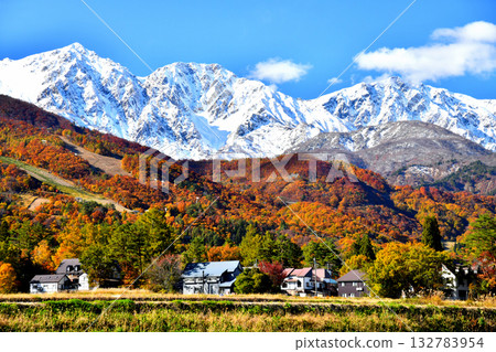從白馬村眺望白馬三山（長野縣白馬村）[2025年11月] 132783954