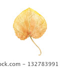 Aromatic autumn leaf of Japan Katsura tree watercolor illustration on isolated background. Cercidiphyllum japonicum in warm yellow colors. Top view. Hand painted floral element for decor. 132783991