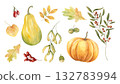 Autumn clip art with watercolor pumpkins, leaves, berries, hazel nuts, cotoneaster on isolated background. Botanical harvest set illustration for festive thanksgiving design, holiday greeting cards 132783994