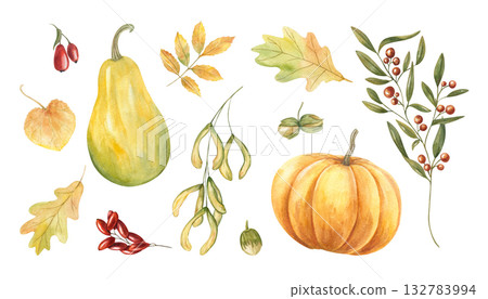 Autumn clip art with watercolor pumpkins, leaves, berries, hazel nuts, cotoneaster on isolated background. Botanical harvest set illustration for festive thanksgiving design, holiday greeting cards 132783994