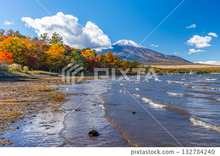 Lake Yamanaka, Autumn leaves, Mount Fuji Lake Yamanaka, Autumn leaves, Mount Fuji 132784240