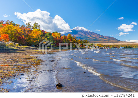 Lake Yamanaka, Autumn leaves, Mount Fuji Lake Yamanaka, Autumn leaves, Mount Fuji 132784241