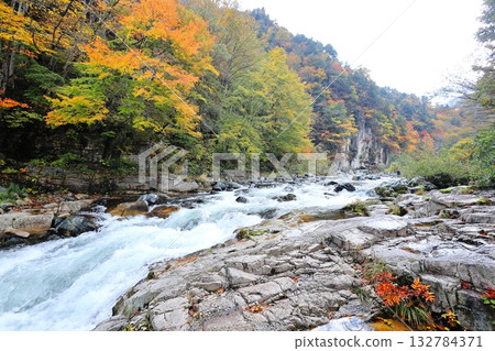 福島縣南會津郡南會津町屏風岩和伊那川的秋葉 福島縣南會津郡南會津町屏風岩和伊那川的秋葉 132784371