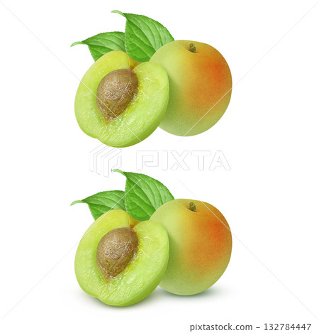 Plum illustration realistic plum fruit 132784447