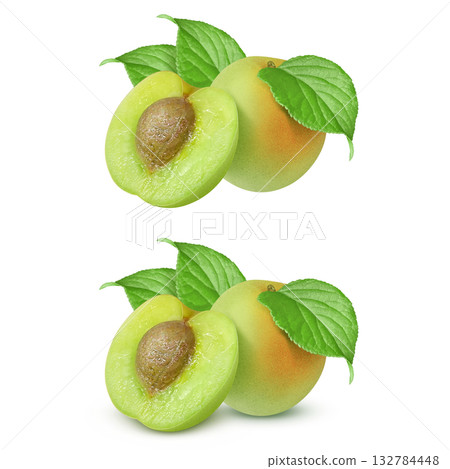 Plum illustration realistic plum fruit 132784448