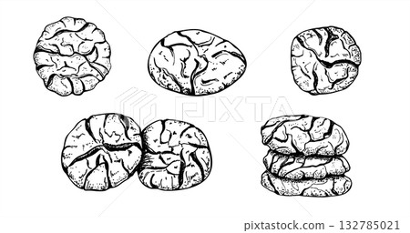Cracked cookies vector isolated illustration painted by black inks. Monochrome traditional Italian, American or Moroccan cookies etching drawing. Hand drawn biscuit line art for menu, recipe. Cracked cookies vector isolated illustration painted by black inks. Monochrome traditional Italian, American or Moroccan cookies etching drawing. Hand drawn biscuit line art for menu, recipe. 132785021