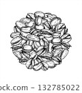 Monochrome pistachio nut heap vector round composition. Etching drawing of dried nuts in shell line art ink isolated illustration for healthy food packaging, culinary blogs, nutrition guides 132785022
