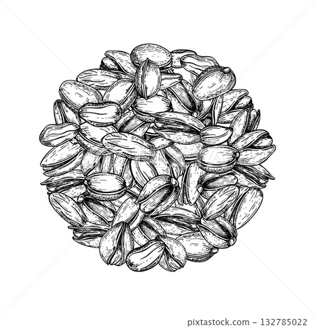 Monochrome pistachio nut heap vector round composition. Etching drawing of dried nuts in shell line art ink isolated illustration for healthy food packaging, culinary blogs, nutrition guides 132785022