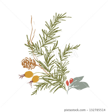 Whimsical Christmas floral card of berries, pine cone and branch. Hand-drawn vintage poster isolated on white background. Illustration for design, print, fabric or background. Whimsical Christmas floral card of berries, pine cone and branch. Hand-drawn vintage poster isolated on white background. Illustration for design, print, fabric or background. 132785514