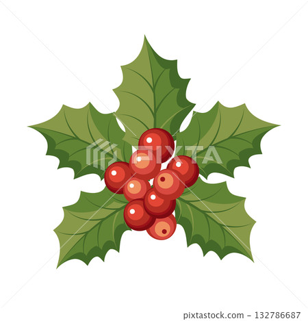 Christmas holly berries with green leaves composition. Holiday illustration. 132786687