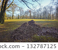 A pile of autumn leaves in a park. 132787125