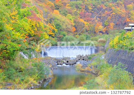 南會津町立岩川沿岸的秋葉 南會津町立岩川沿岸的秋葉 132787792