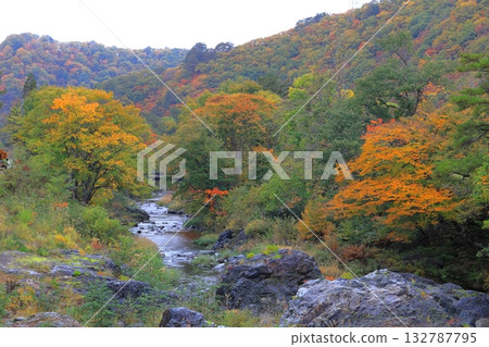 南會津町立岩川沿岸的秋葉 南會津町立岩川沿岸的秋葉 132787795