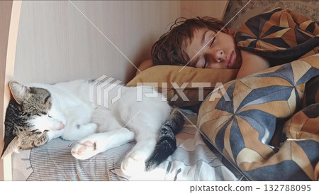 a teenage boy is sleeping in bed next to his cat. teen boy cute asleep together with indoors pet cat on bed 132788095